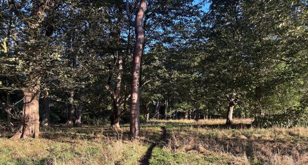 Daynote - Mon 29 Sep