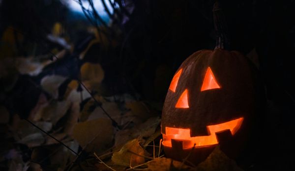 A carved pumpkin resting in leaves