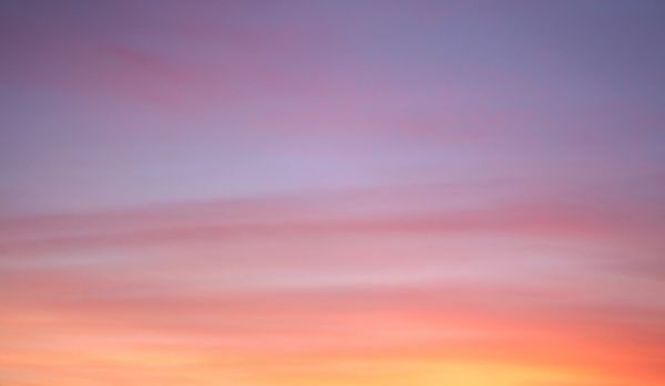 Daynote - Wed 26 Nov