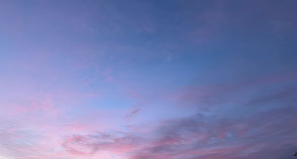 A blue early morning sky with clouds lit pink by sunrise
