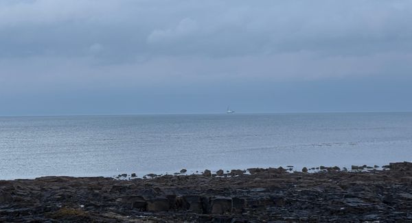 Daynote - Tue 20 Jan