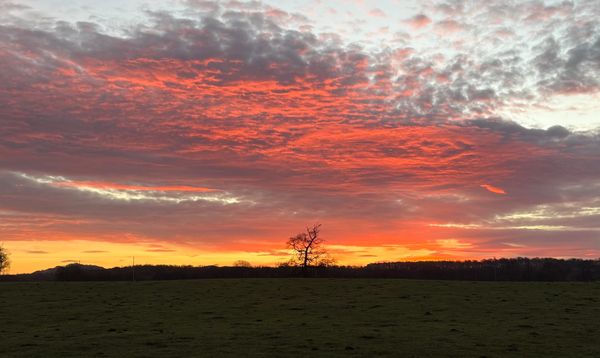 Daynote - Wed 14 Jan