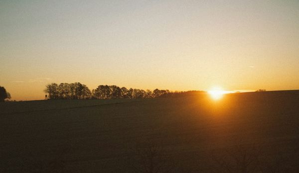 Daynote - Fri 16 Jan