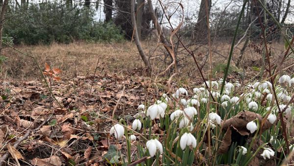 Daynote - Wed 18 Feb 2026