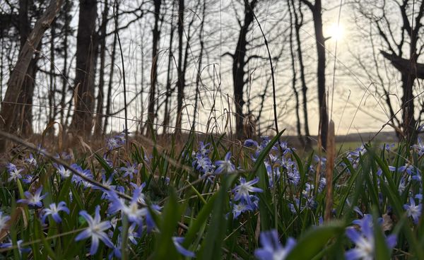 Daynote - Mon 23 Mar 2026