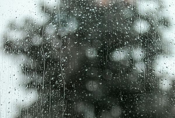 Daynote - Thu 12 Mar 2026