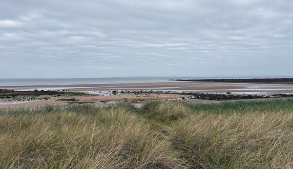 Dune grass, rocks, sand, sea and sky