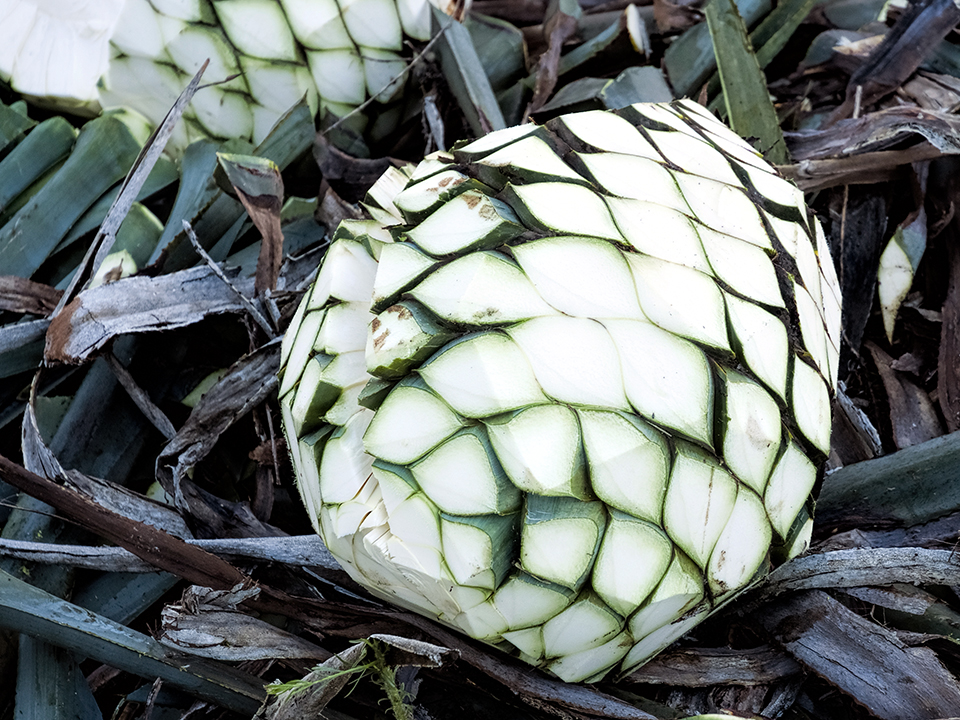 tequilas de agave La Gritona Reposado Tequila (750ml) main image 0