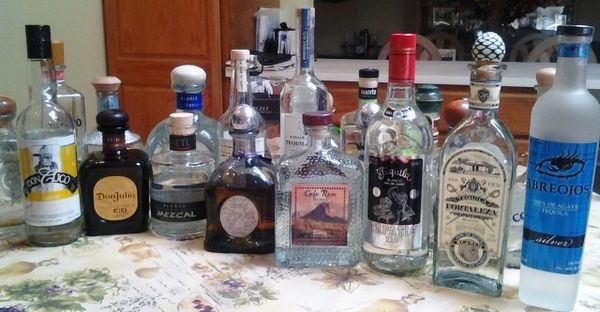 All Types of Agave Spirits Explained