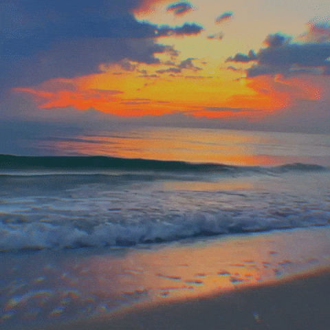 PLAYLIST: Summer's End 🌅