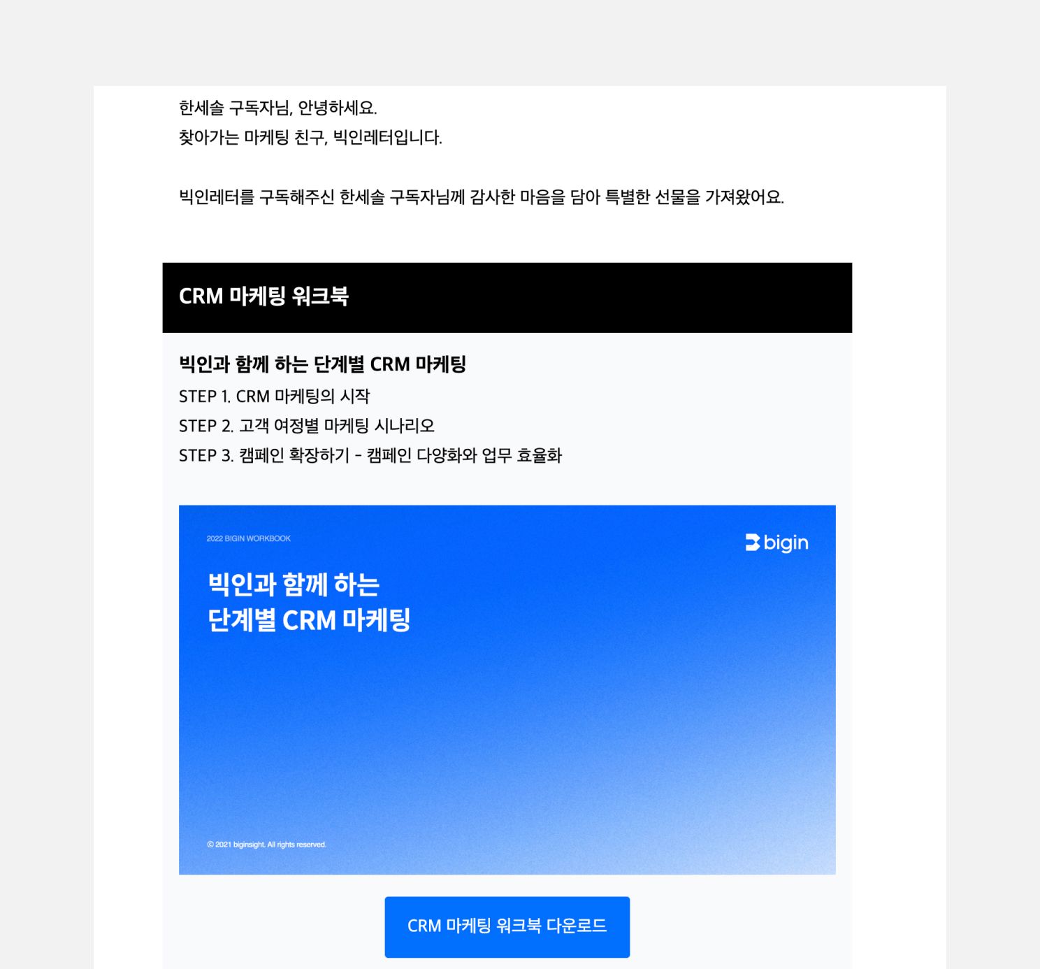 뉴스레터를 구독하면 웰컴 이메일로 워크북을 제공하는 <빅인레터>