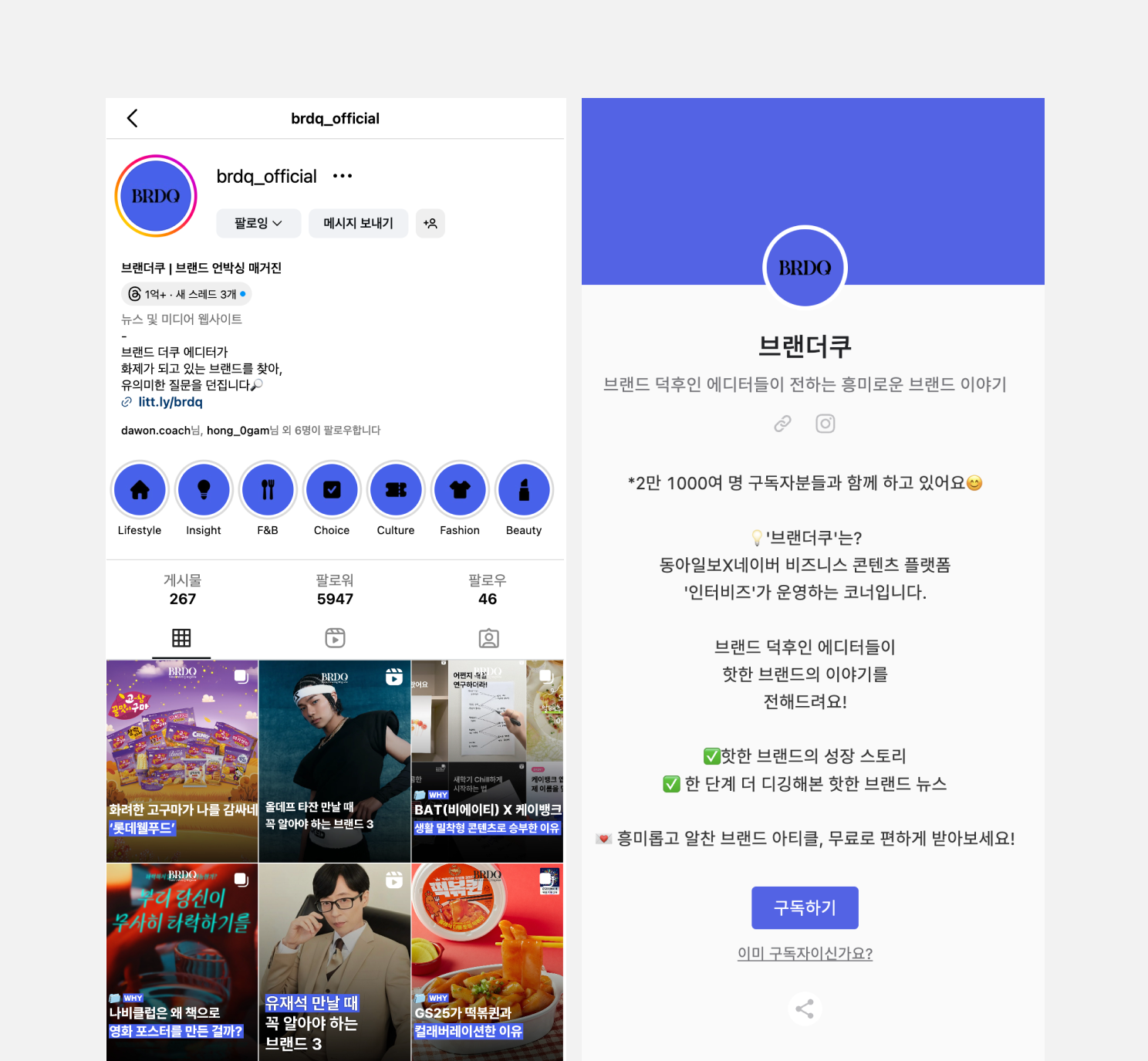 브랜더쿠 BRDQ의 인스타그램 매거진과 뉴스레터