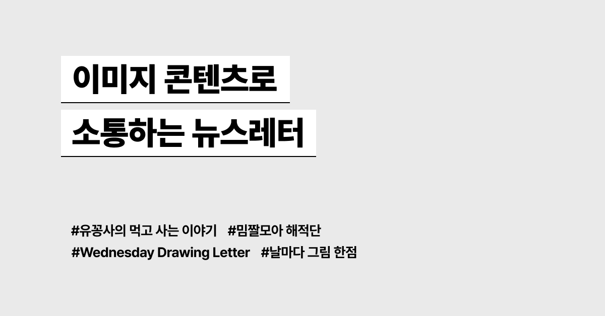 이미지 콘텐츠로 소통하는 뉴스레터 모음