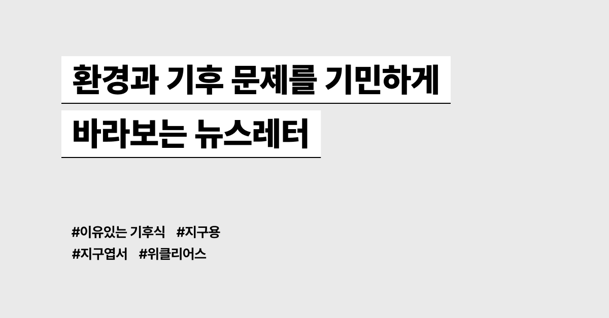 환경과 기후 문제를 기민하게 바라보는 뉴스레터 모음