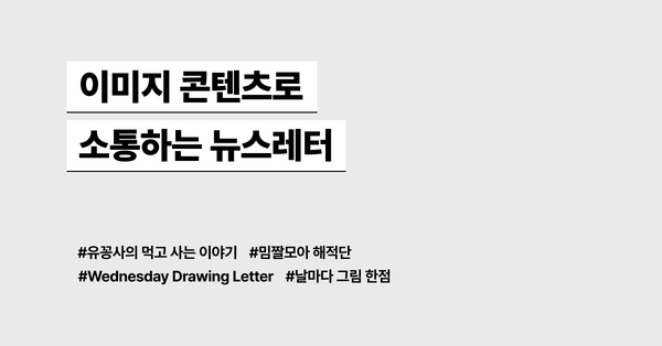이미지 콘텐츠로 소통하는 뉴스레터 모음