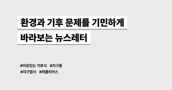 환경과 기후 문제를 기민하게 바라보는 뉴스레터 모음