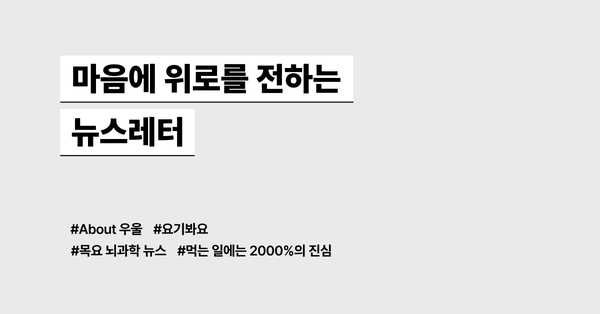 마음에 위로를 전하는 뉴스레터