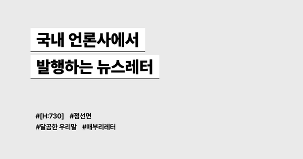 국내 언론사에서 발행하는 뉴스레터 모음
