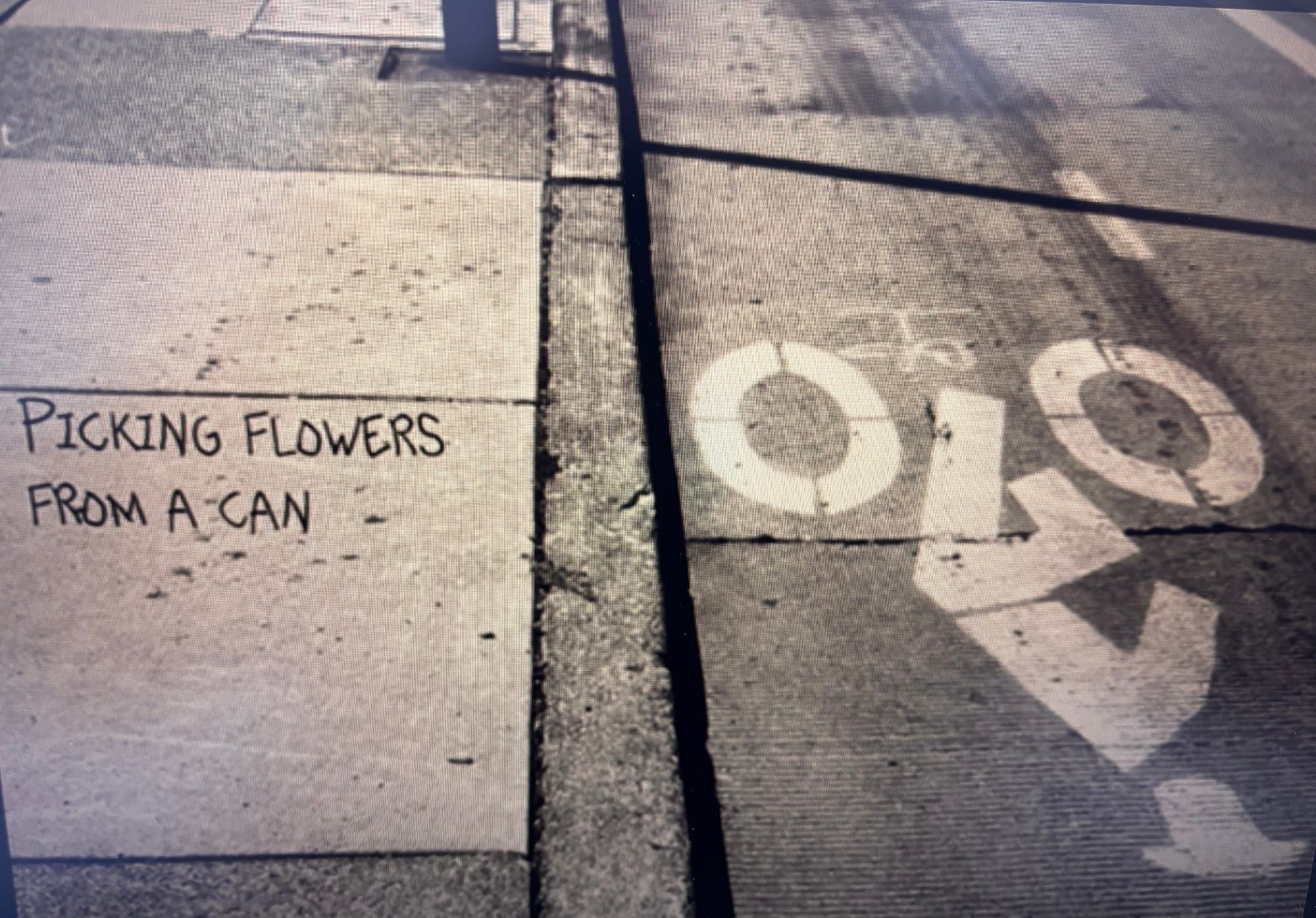 Picking Flowers
