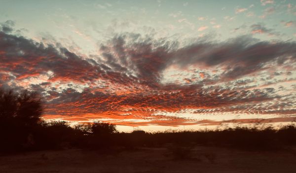 Sunlight—an elusive God