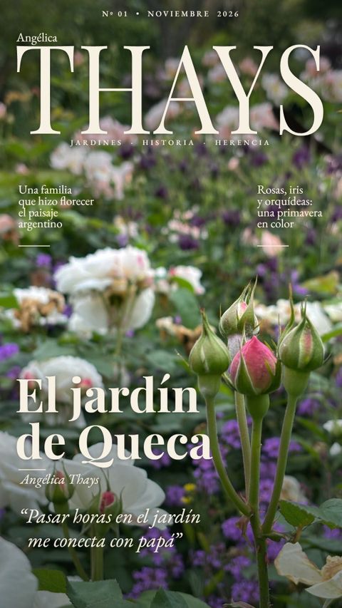 Tapa de Nº 01 · Noviembre 2026