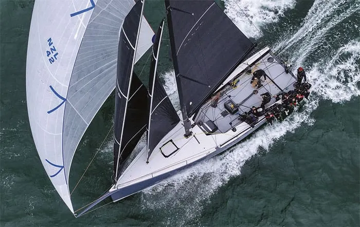 Back to what they love