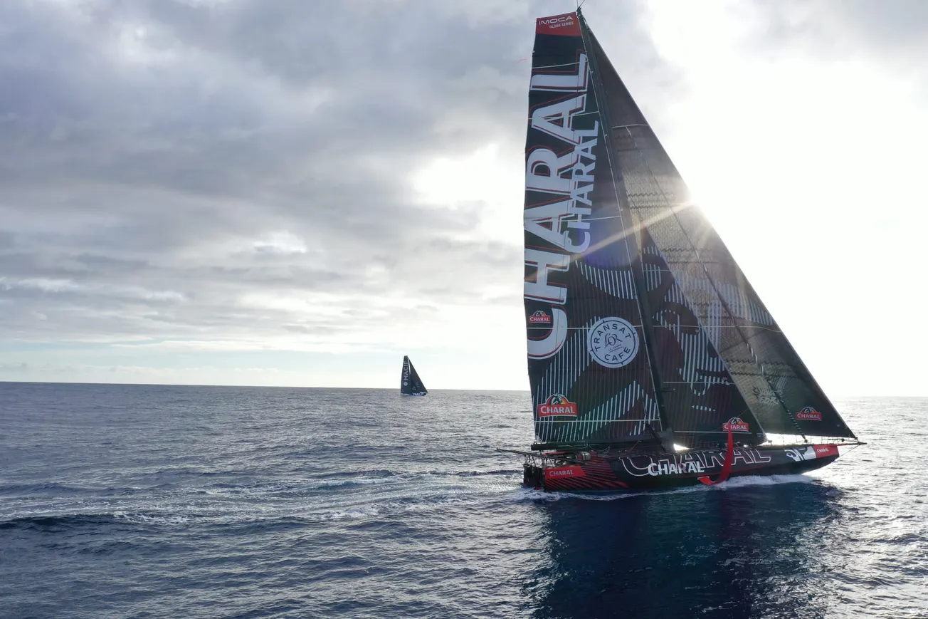 Transat Café L’OR: IMOCA leaders play light airs chess match north of the Canaries
