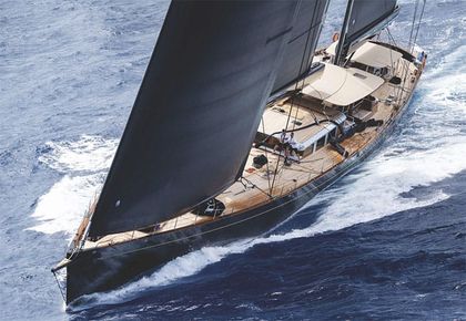 Structured Luffs for All