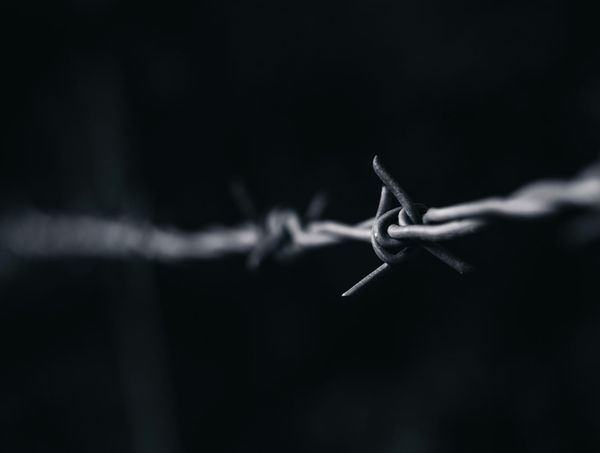 Close-up black-and-white image of barbed wire, with one sharp barb in focus against a dark, blurred background.