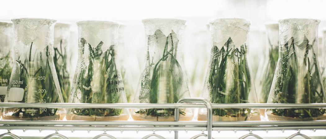 How to Use Clinical Testing in Your Nutrition Practice