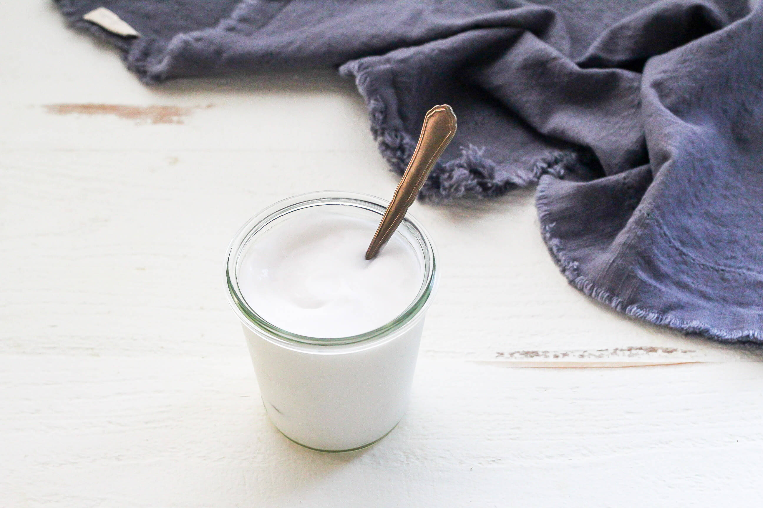 20 Specific Carbohydrate Diet Meals to Help Clients With Inflammatory Bowel Disease: Homemade Coconut Yogurt