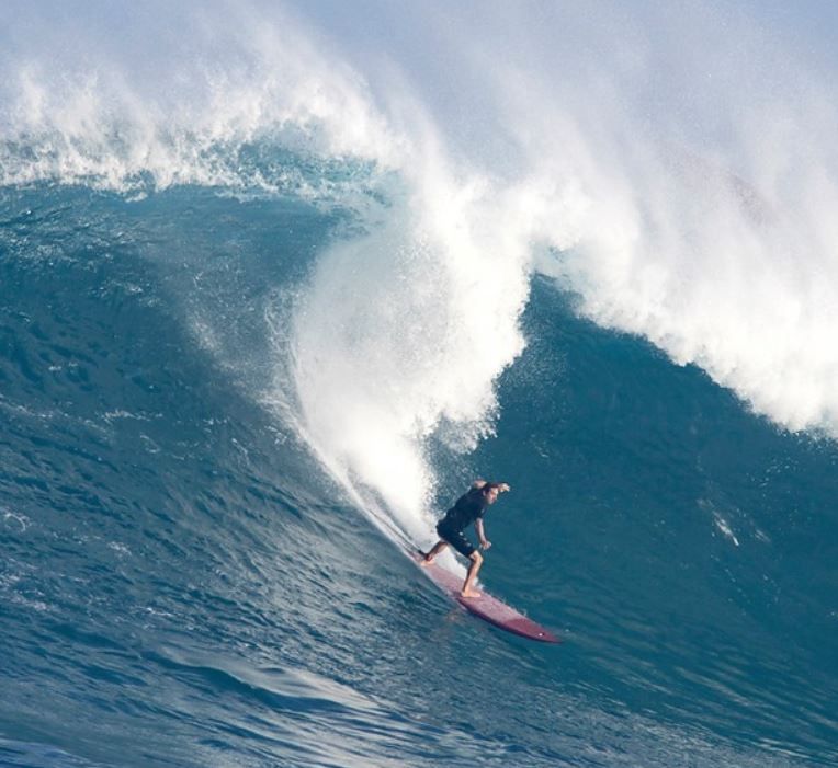 Dive in the waves - Hawaii Eco Divers