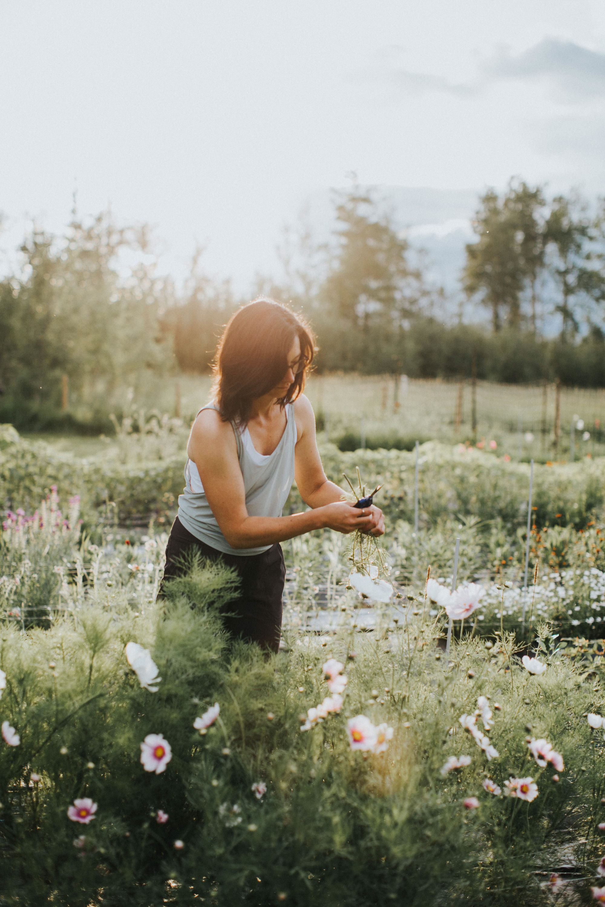 All-Around Flower Trailer - Sweetwater Blooms