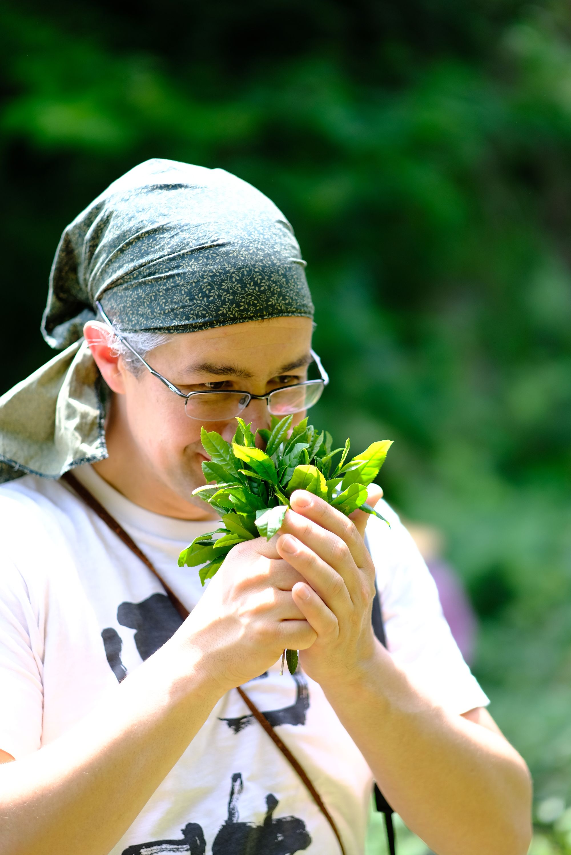 Rare tea and Kombucha Bar in Vancouver - O5 Tea Company
