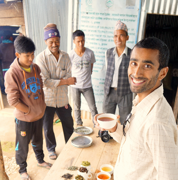 A bundle of blends - Young Mountain Tea