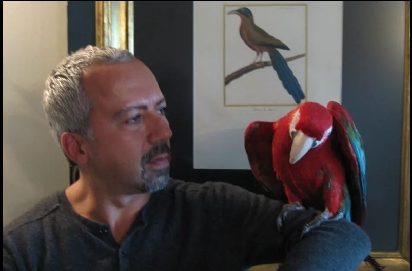 RHS Award-Winning London Florist - Phillo Limited