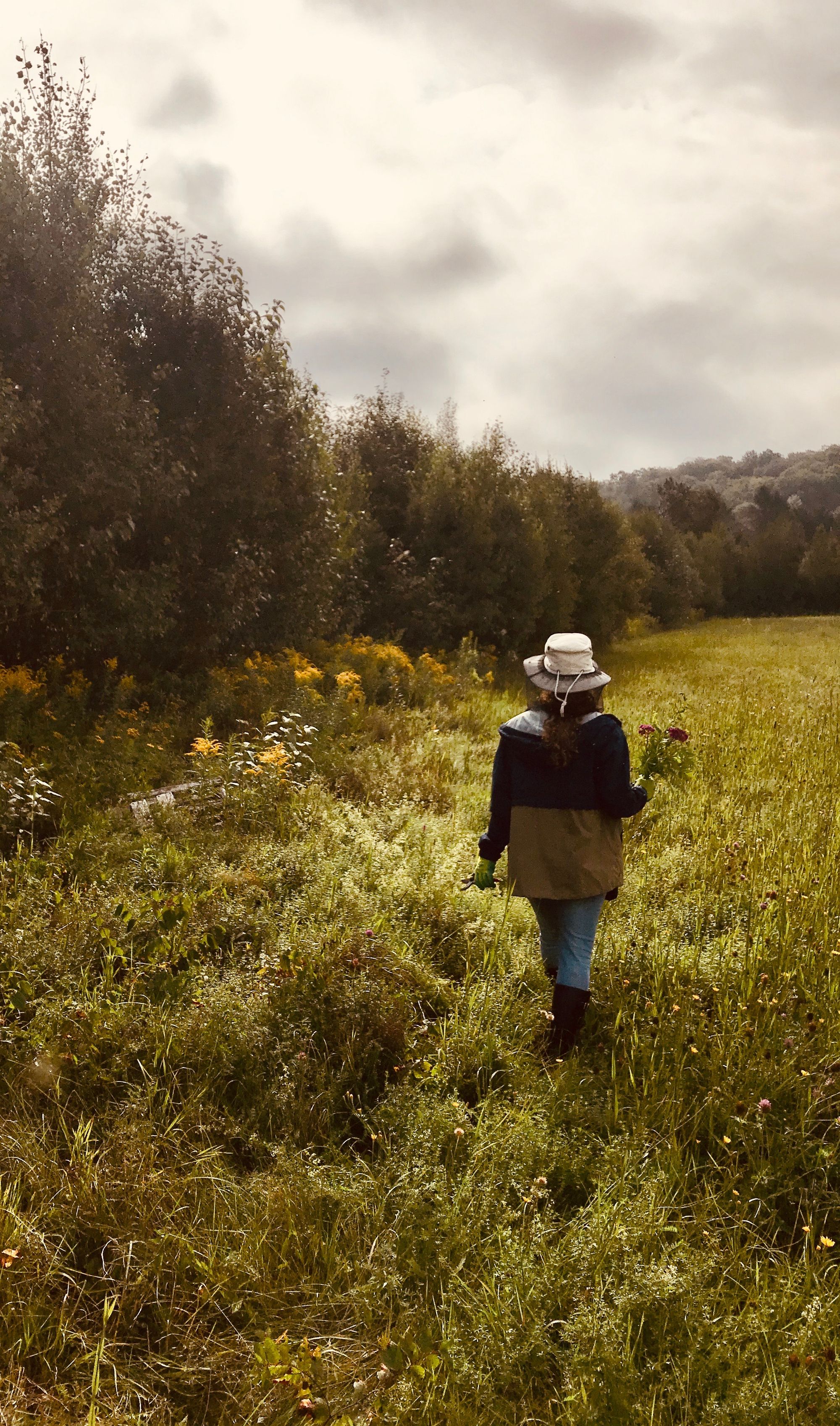 Eco-friendly flower micro-farm - Florestia Ferme Florale
