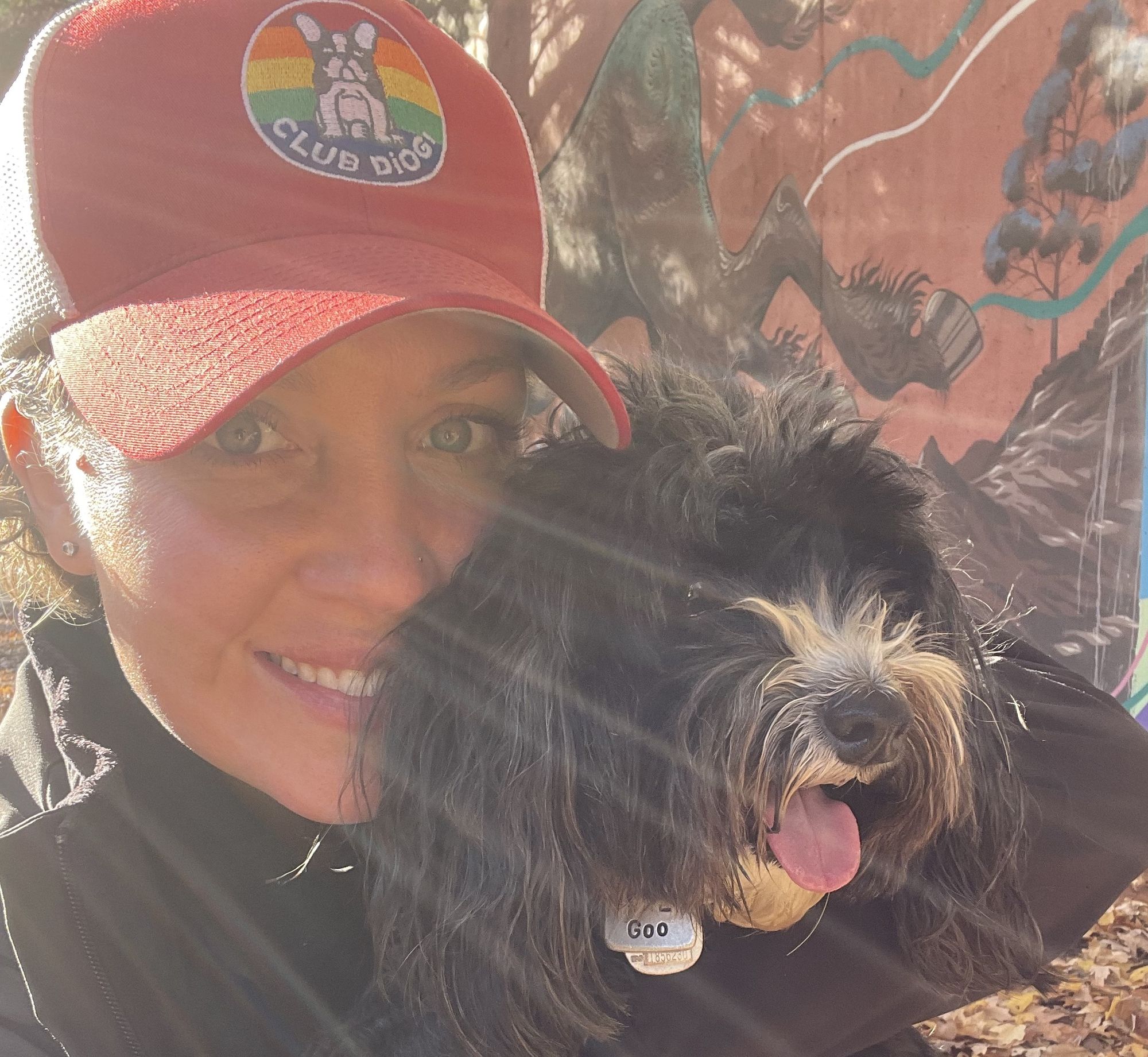 Enrichment-based Dog Daycare & Boarding Facility - Club DiOGi