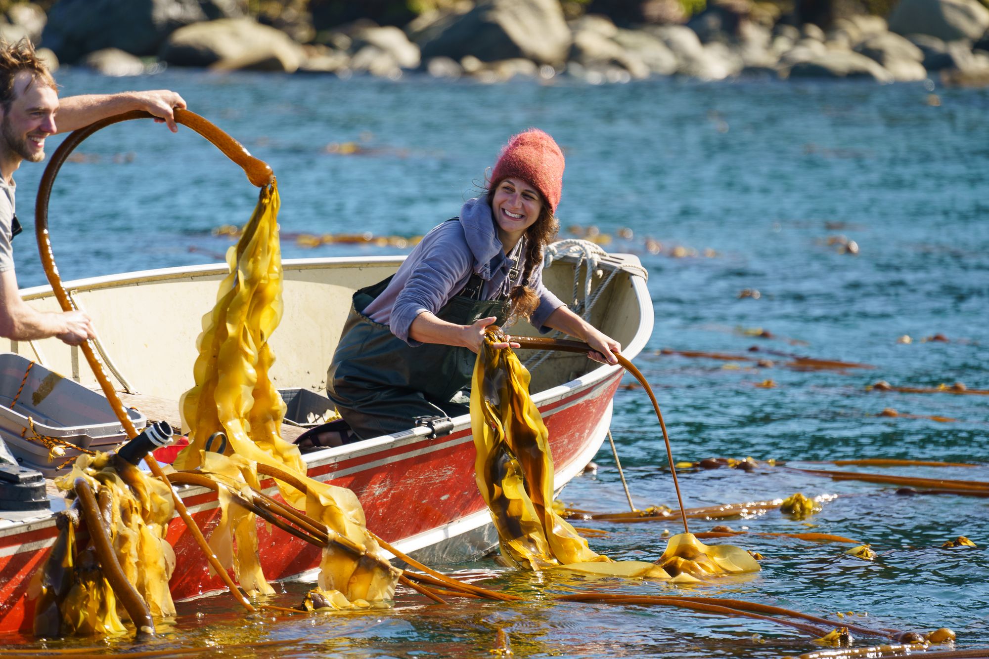 From Our Coast to Your Kitchen - Barnacle Food