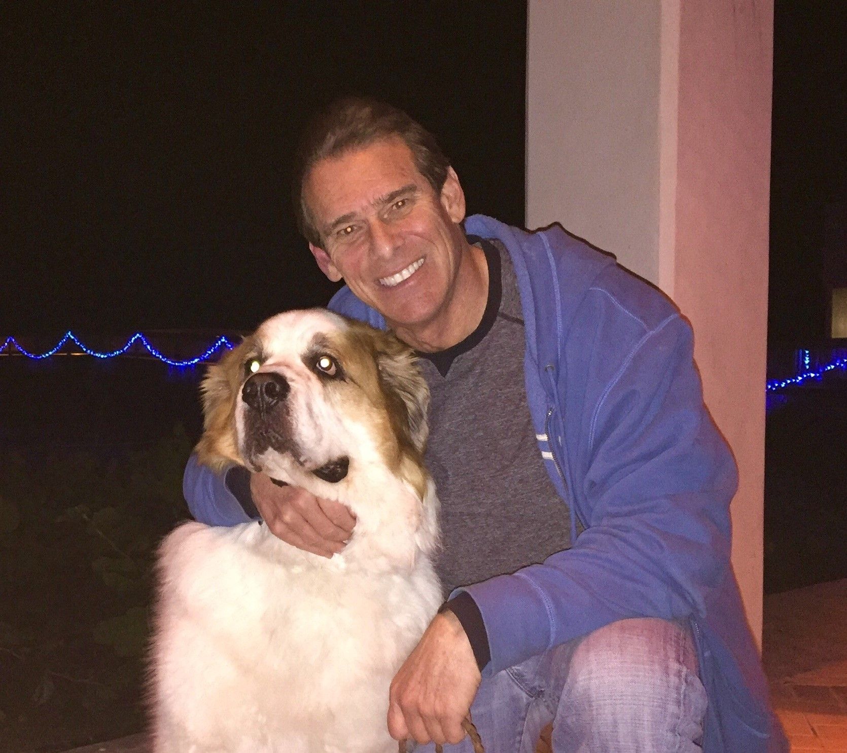 Your Eco-Friendly Pet Care - The Green Pet Shop