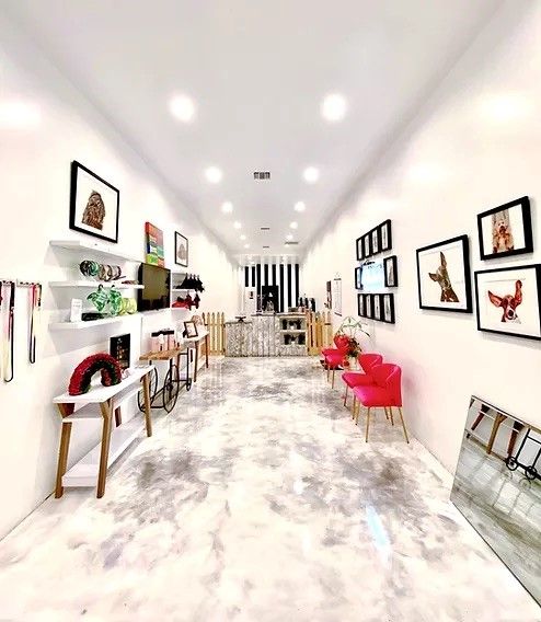 The Coolest Dog Grooming Salon - Dogue Spa