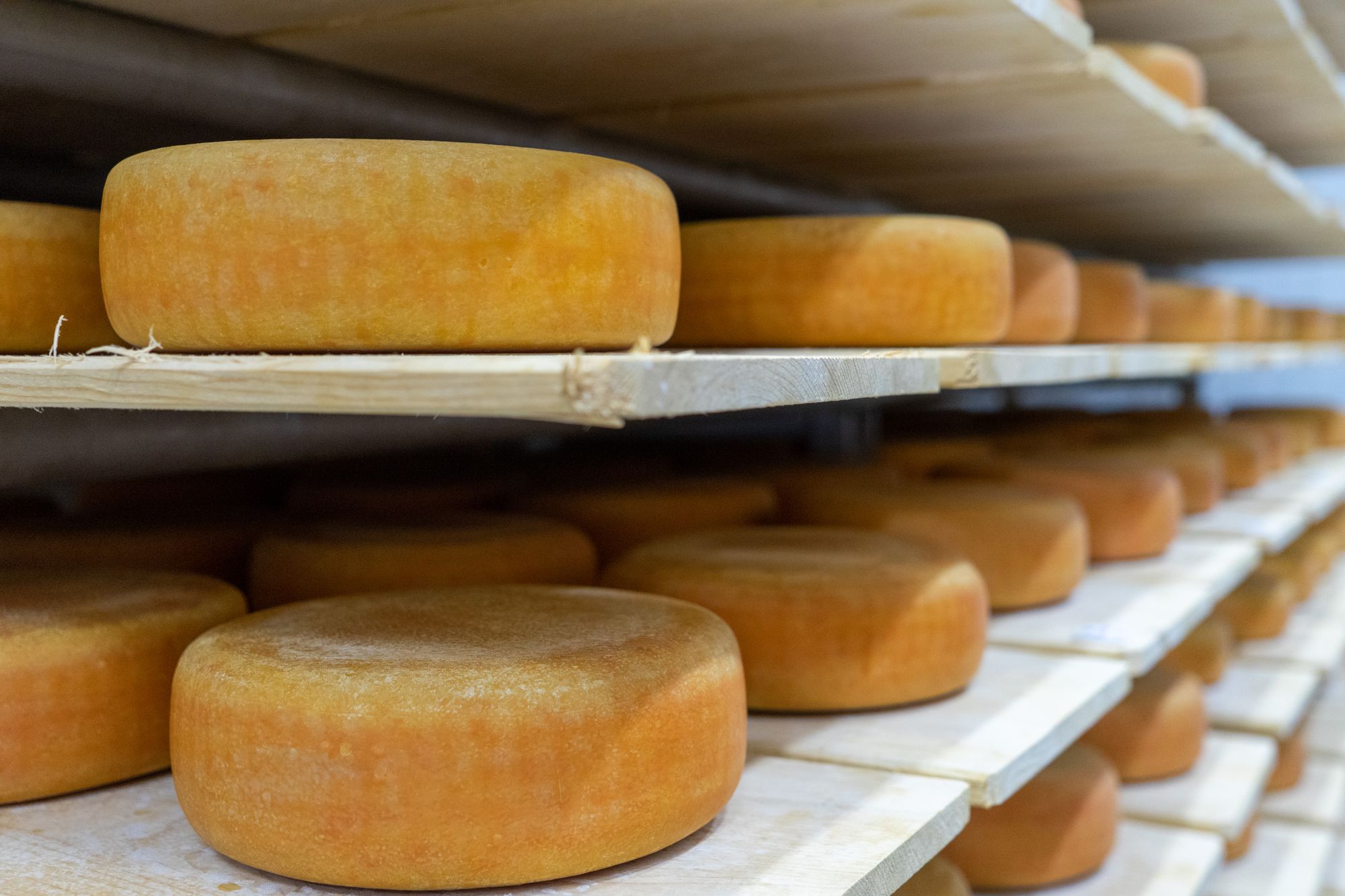 Swiss Tradition Locally Produced - Stonetown Artisan Cheese