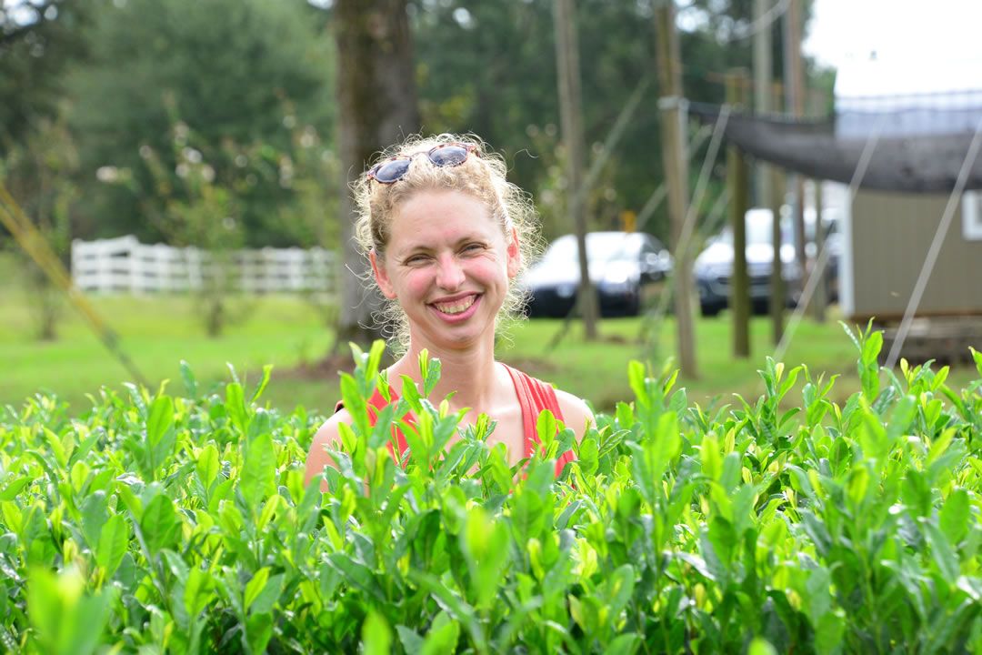 Loose Leaf Tea for a Better Day - Oregon Tea Traders