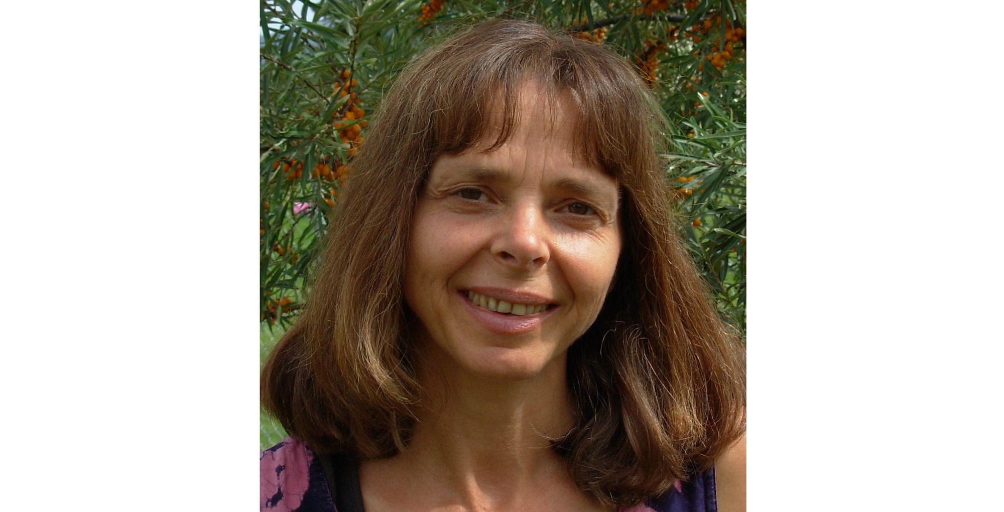 Dimutara: The Art of Healing - Elisabeth Guentert Bay