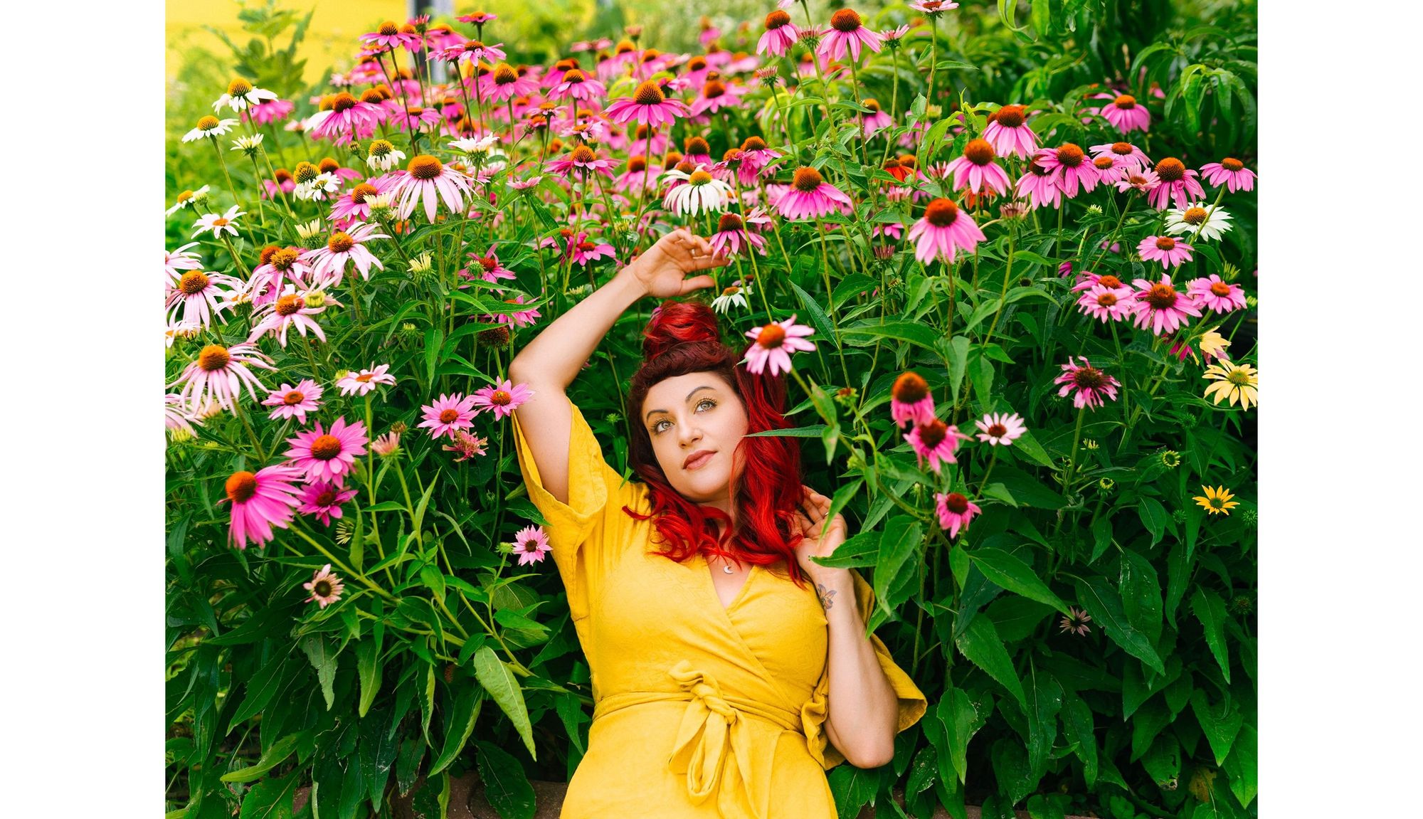 Let’s Create Some Magic Together - Ariel Panowicz Creative