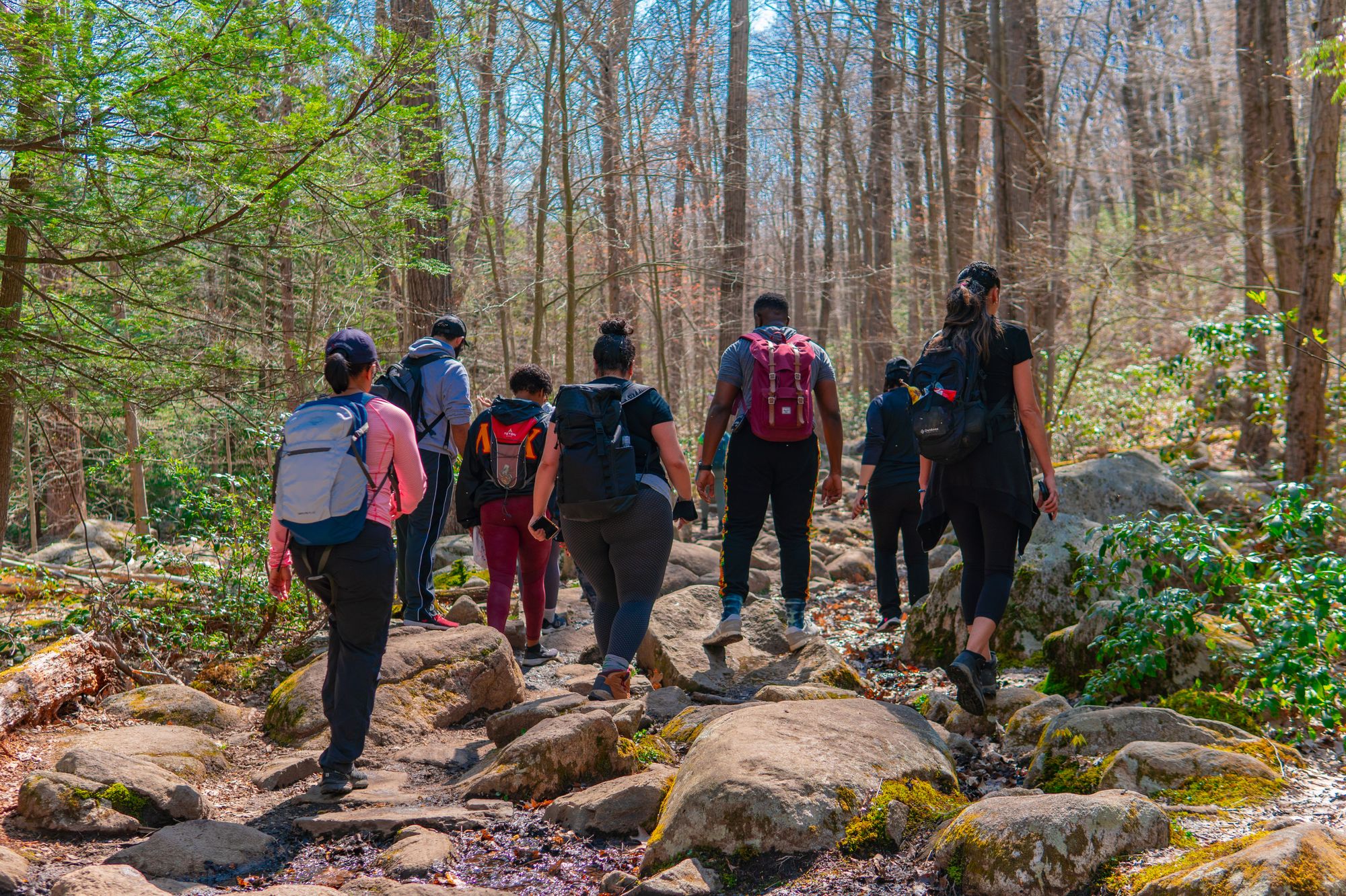 From the Hood to the Woods - The Hood Hikers