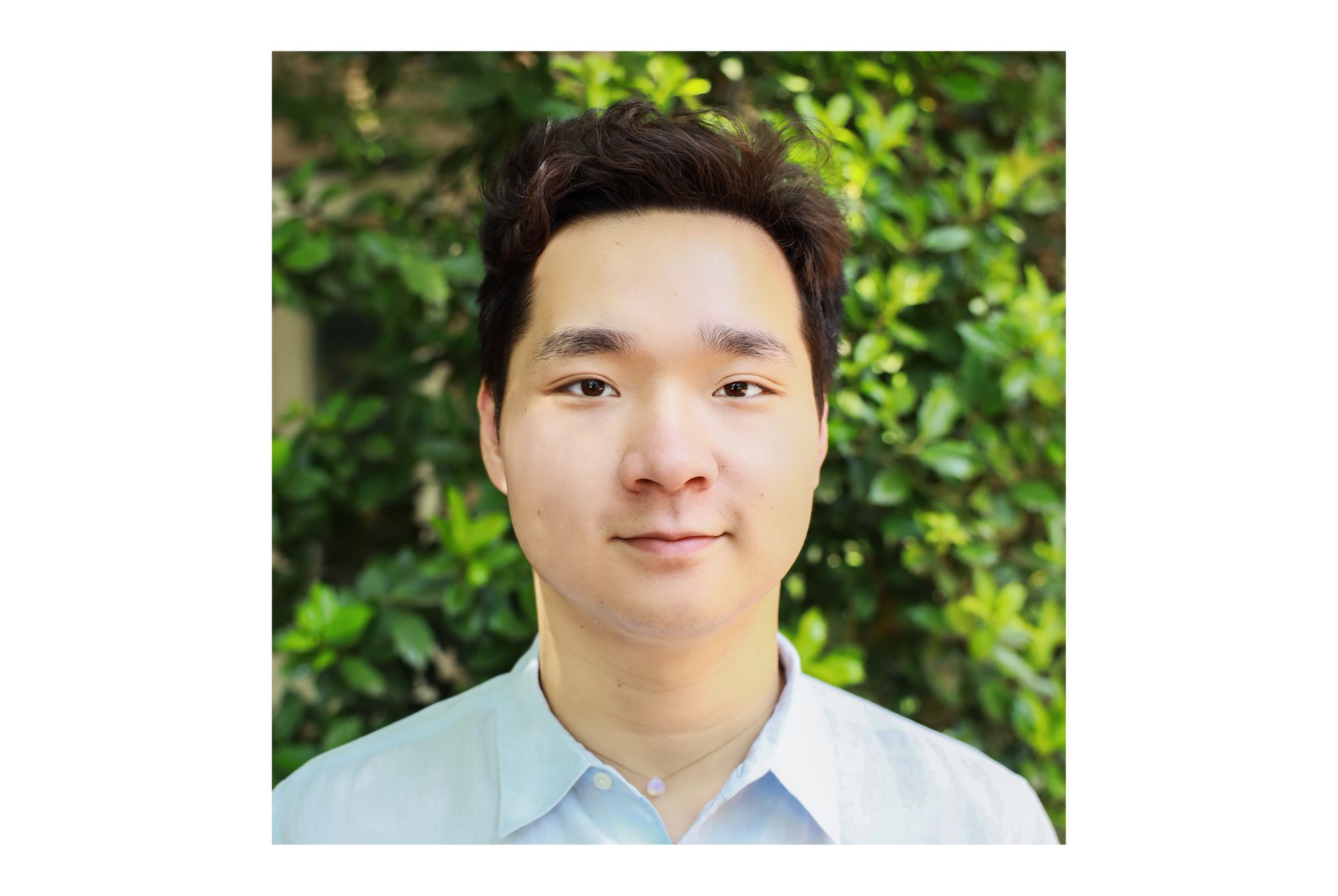 Integrated Self Inquiry - Starlight Healing