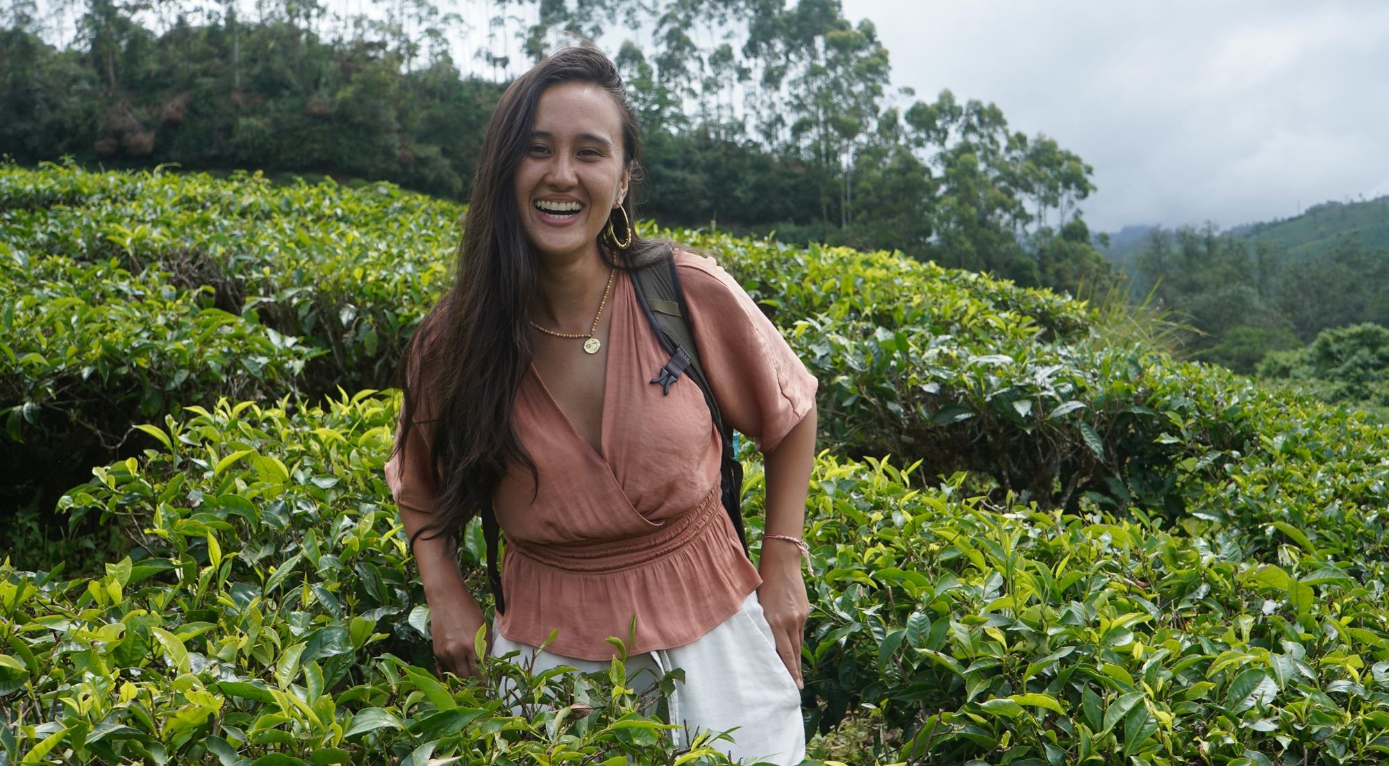 Find Unique Crumbs of Joy Every Day - Being Baked Cookies