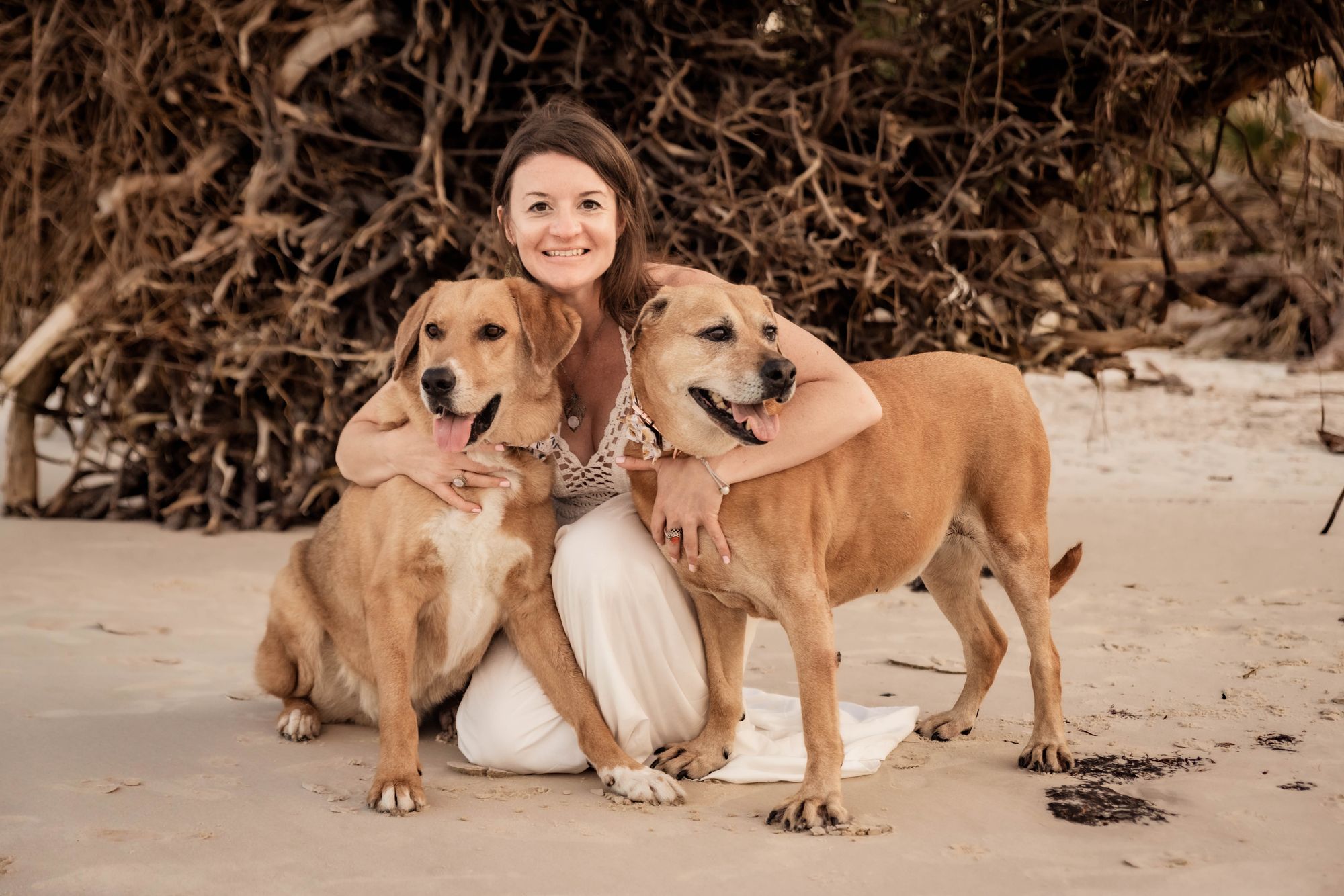 Comfort and Improved Mobility - Pawsitive Healing