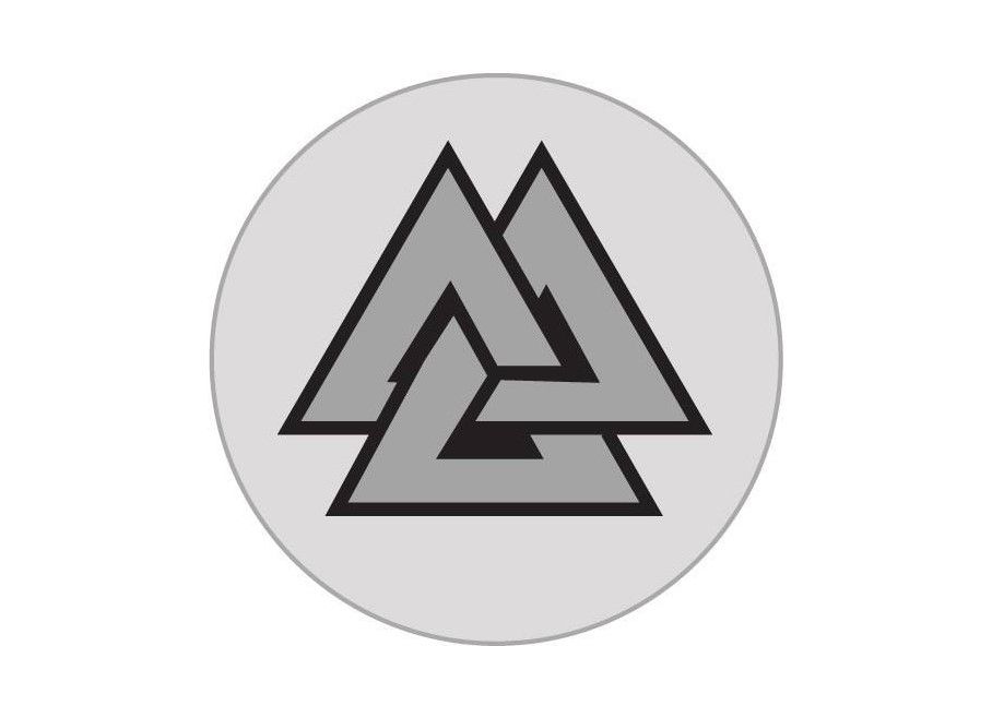 Protecting What You Value - Æsir Insurance Services